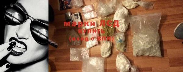 ешки Дубна