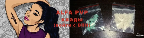 ешки Дубна