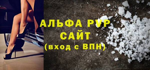прущие грибы Костерёво