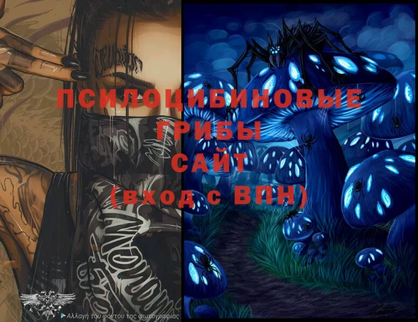 прущие грибы Костерёво