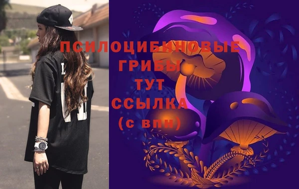 синтетический гашиш Коряжма